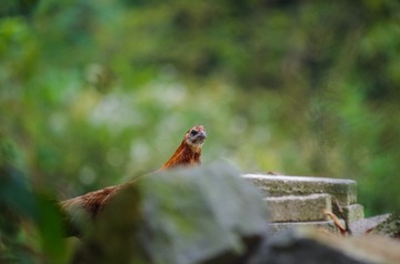 20161007-IMGP9866