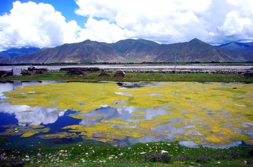 P1140649_副本.jpg