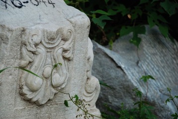荒芜