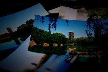 IMG_8718.JPG