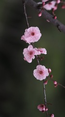882383
