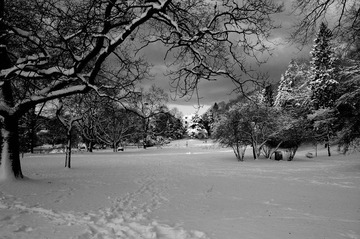 雪园2009