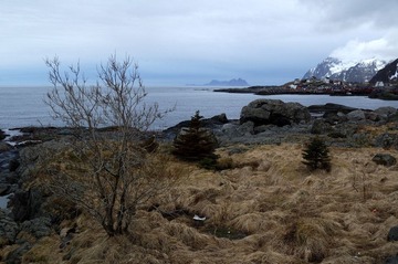 lofoten