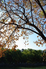 IMGP2977.jpg