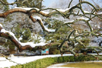 IMGP3486.jpg