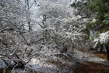 IMGP3517.jpg