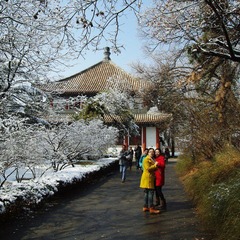 IMGP3528.jpg