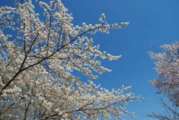 IMGP9964.jpg