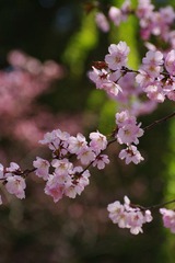 IMGP9995.jpg