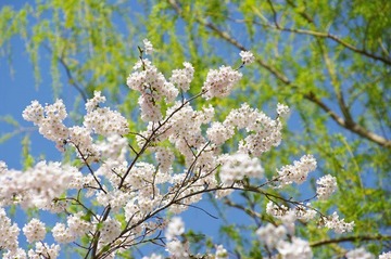 IMGP9996.jpg