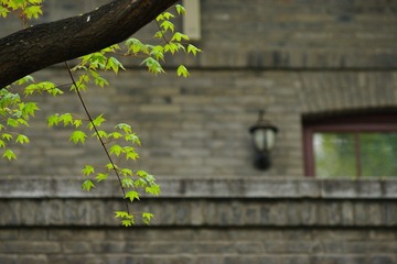IMGP0266.jpg