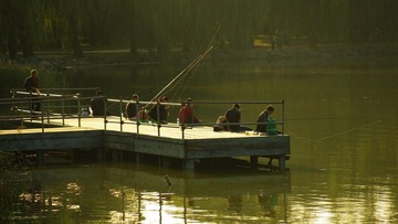 IMGP8609.jpg