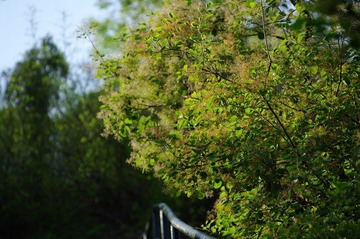 nEO_IMG_IMGP0656.jpg