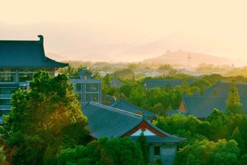 俯瞰老楼群