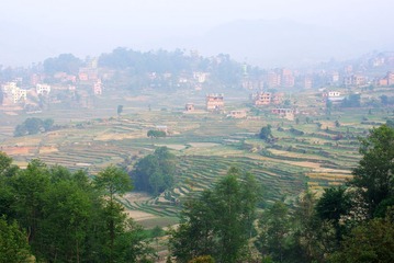 1563636_1337562598.jpg