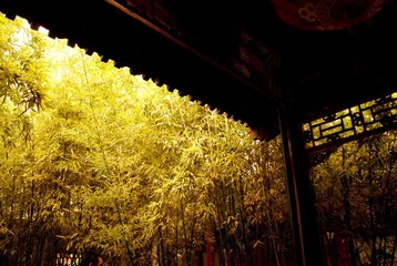 竹婆娑3