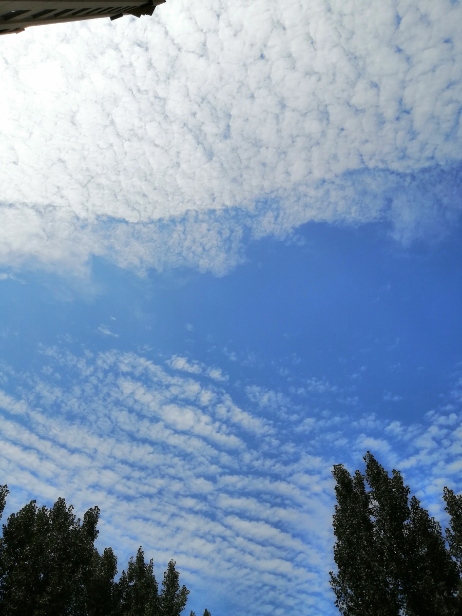 打南边来了个哑巴