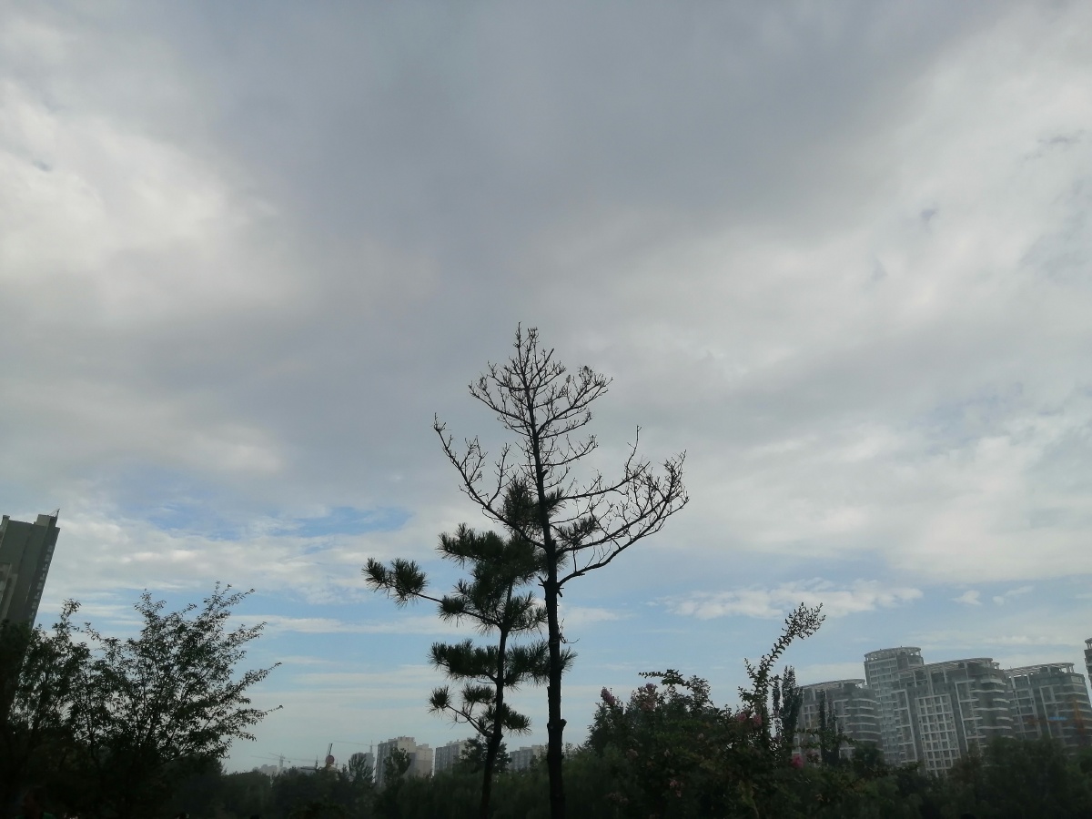 打南边来了个哑巴