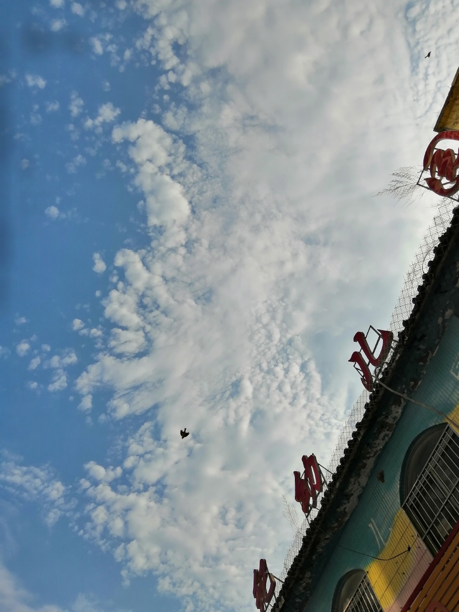 打南边来了个哑巴