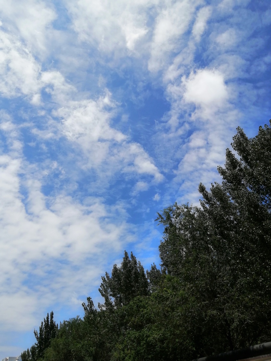 打南边来了个哑巴