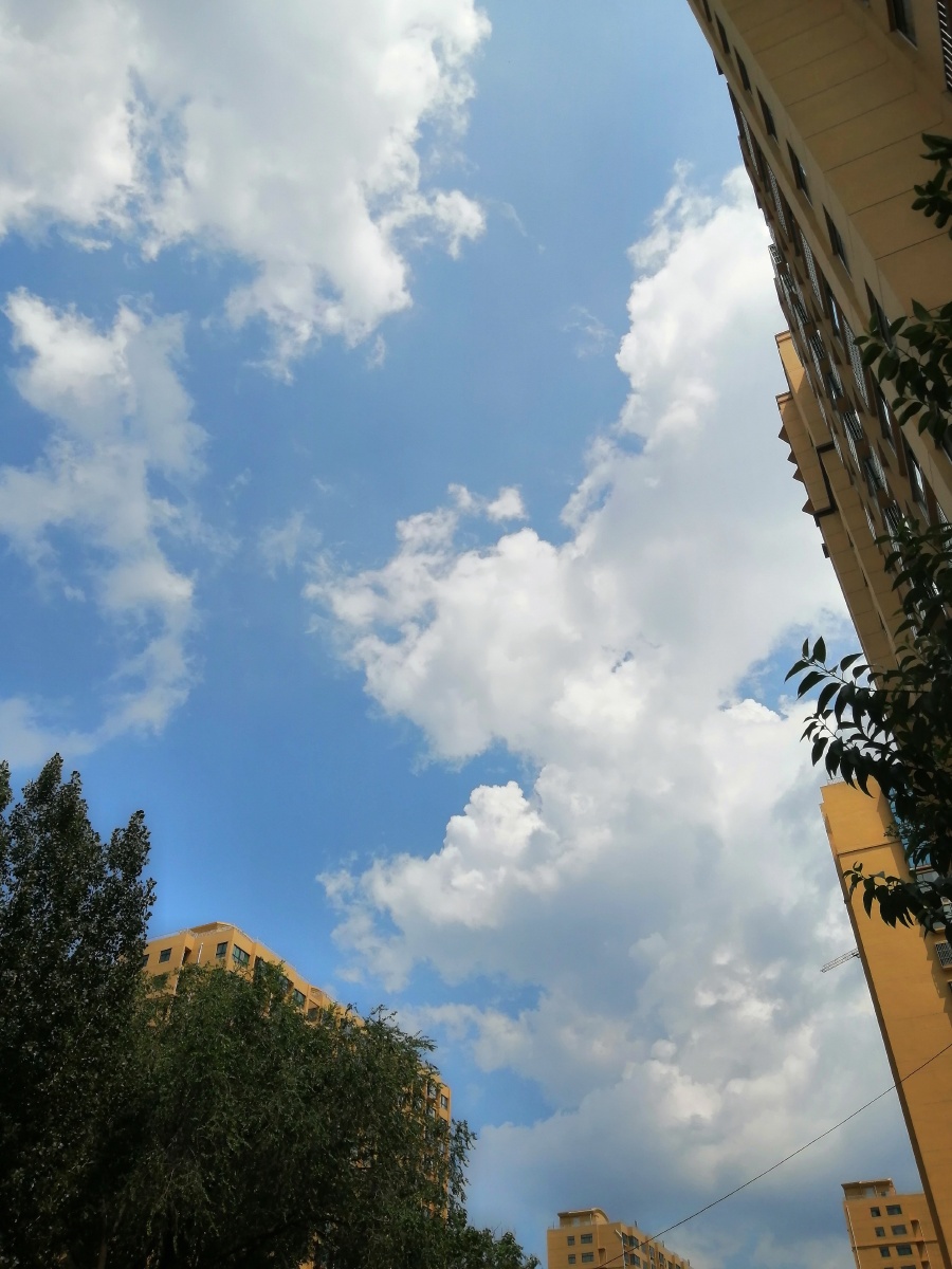 打南边来了个哑巴