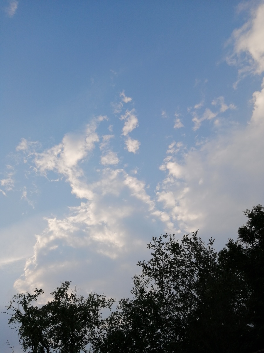 打南边来了个哑巴