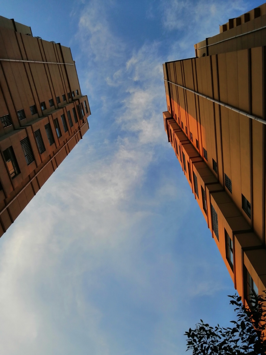 打南边来了个哑巴