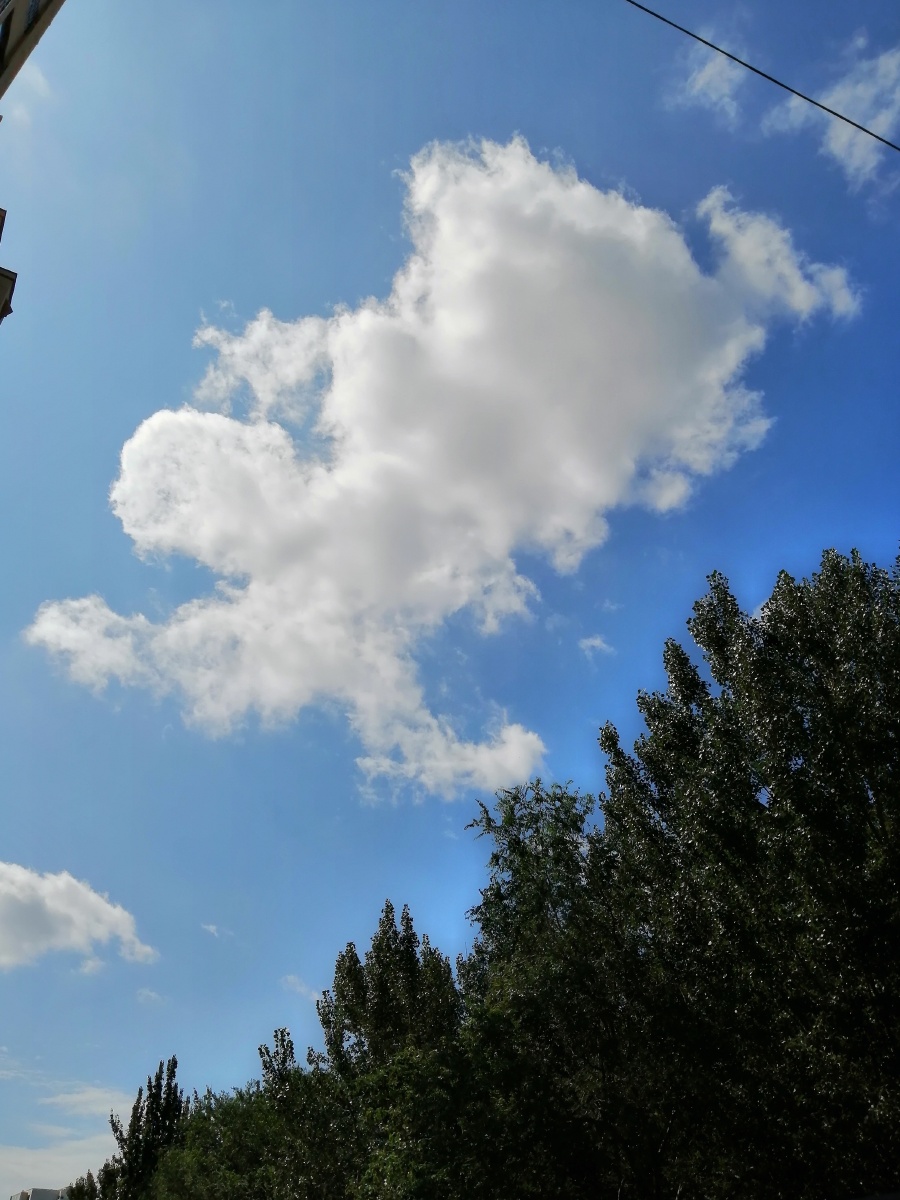 打南边来了个哑巴