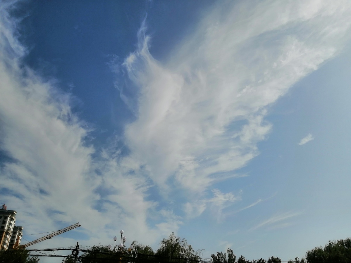 打南边来了个哑巴