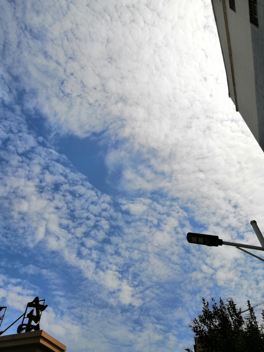 打南边来了个哑巴