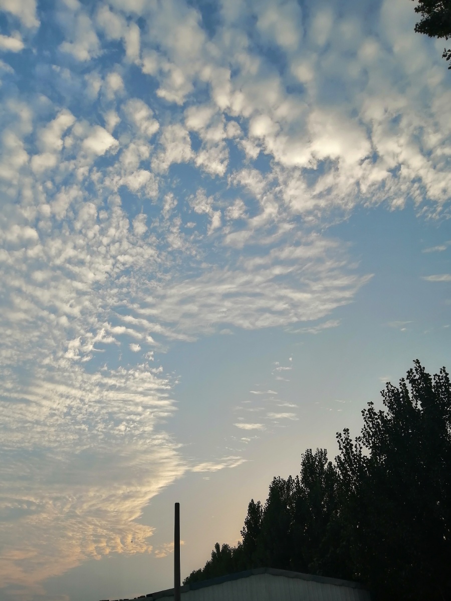 打南边来了个哑巴