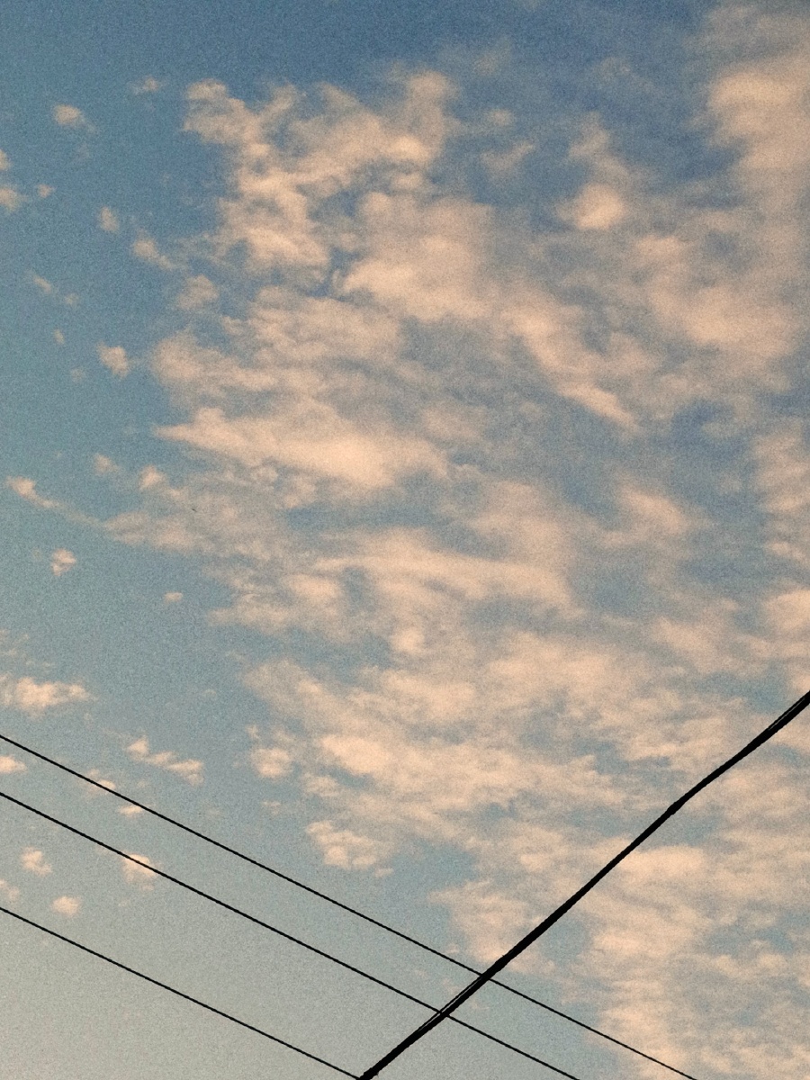 打南边来了个哑巴