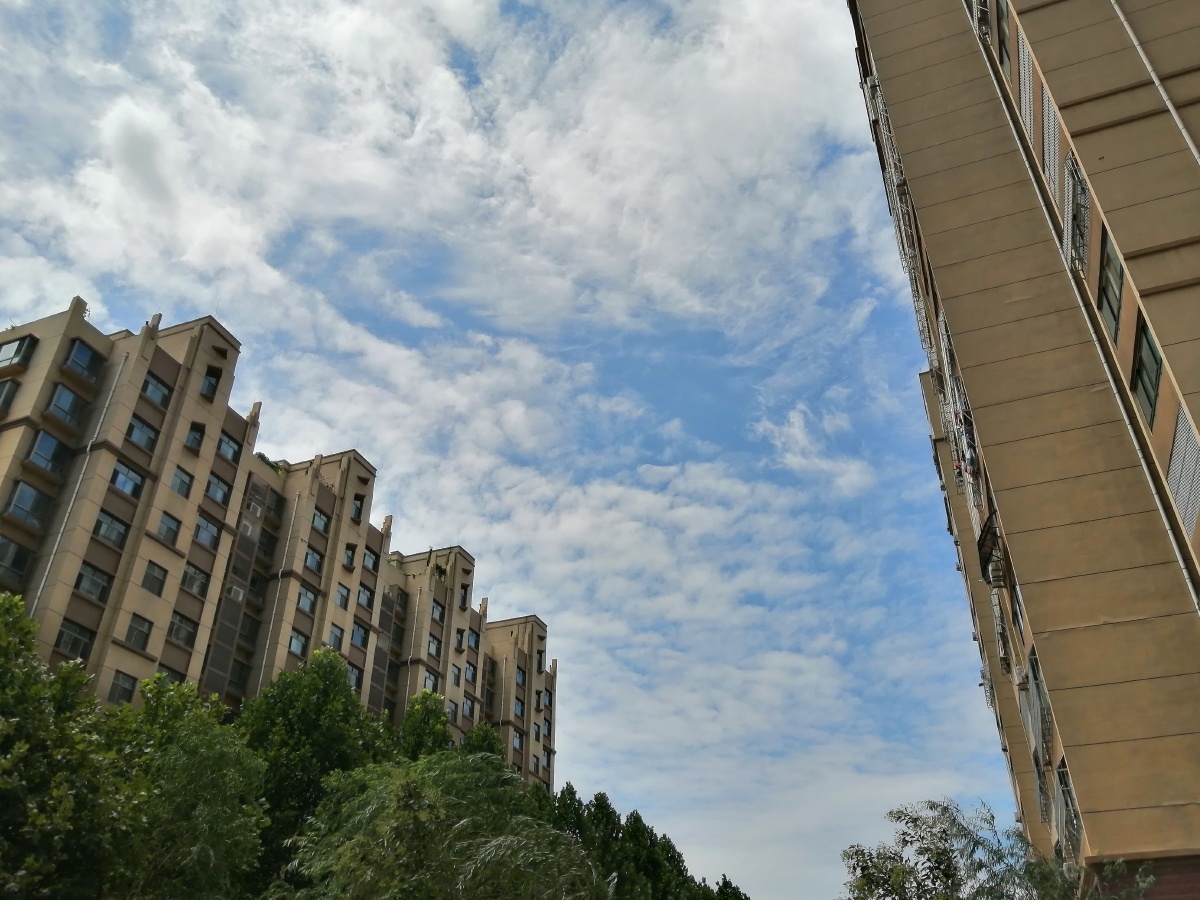 打南边来了个哑巴