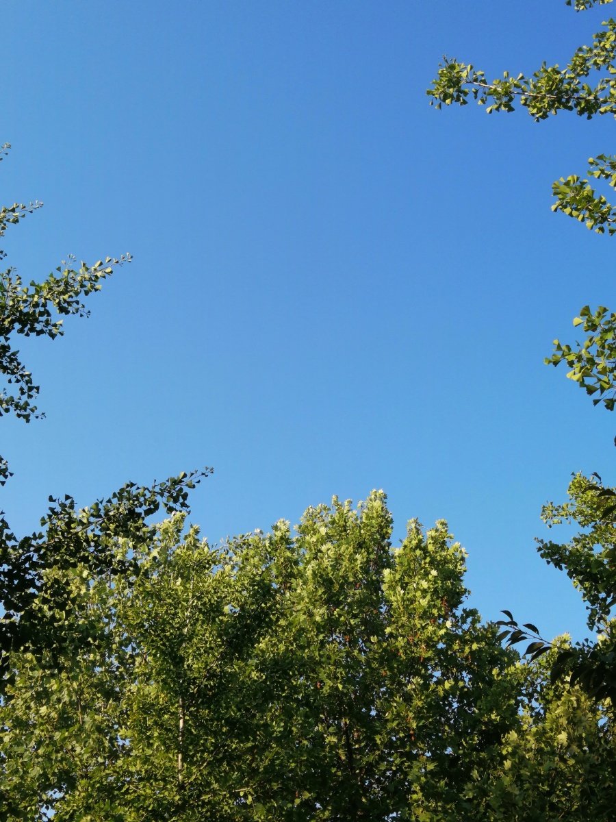 打南边来了个哑巴