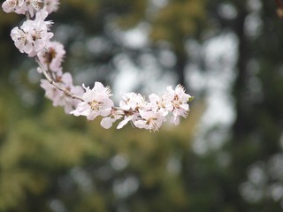 P1010296