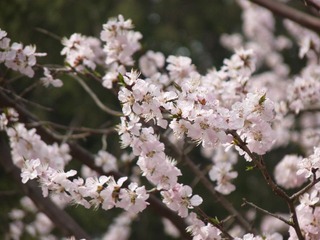 P1010307