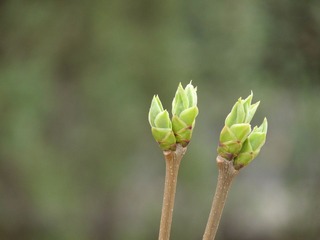 P1010313