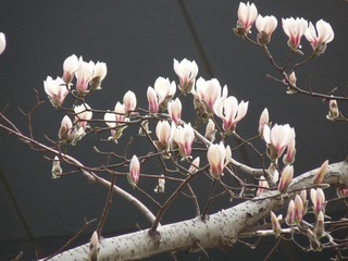 P1010402
