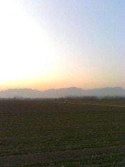 田埂