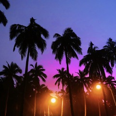 4736CE5D-6072-4E49-8A28-A2FAB1CDE9F6/L0/001