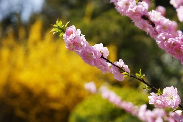 留住色彩