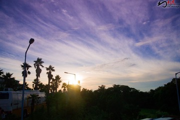 DSC09767.jpg