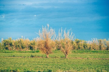 DSC09948 