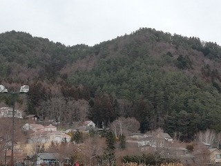 355619