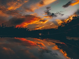 10131