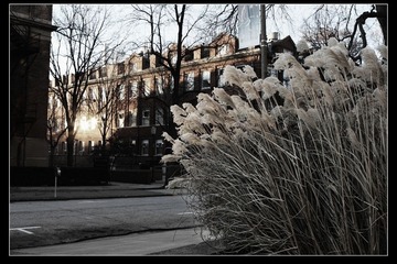 IMG_6045 1600