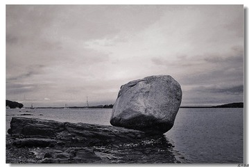IMG_1352 bw