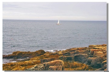 IMG_1303 copy