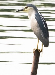 IMG_5525