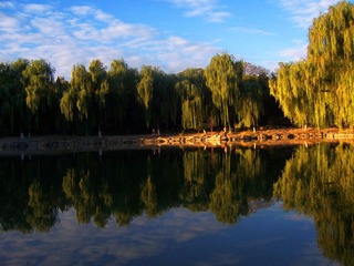 Peking University-1